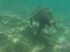 Plage, Bikini, Noire, Robe, Noir ébène, Pov, Mamelons bombés, Maigrichonne