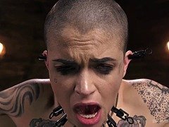 Bdsm, Fingering, Hd, Huge dildo, Pussy, Squirting, Tattoo, Tits