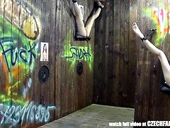 Amateur, Czech, Gloryhole, Group, Hd, Orgy, Pussy, Reality