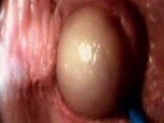 Cum inside a honey pot