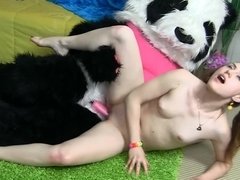 Wild panda bear bangs stunner with fragile body in her room