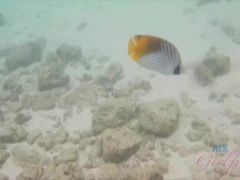 Playa, Penetracion con dedos, Masturbación, Al aire libre, Pov, Coño, Afeitado, Tetas