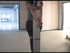 Vixen pole-tied cleavegagged