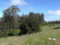 Playa, Culo grande, Bikini, Ébano, Pov, Pezones inflados, Flaco, Tetas